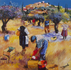  Cueillette des olives au Revest d'ap. Deymonaz