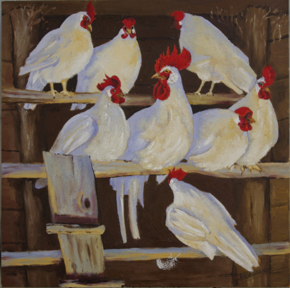 Poules_blanches.jpg